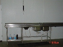 Stainless Steel Counter & Sink